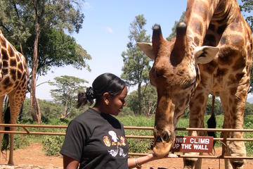 giraffe-nairobi-day-tour