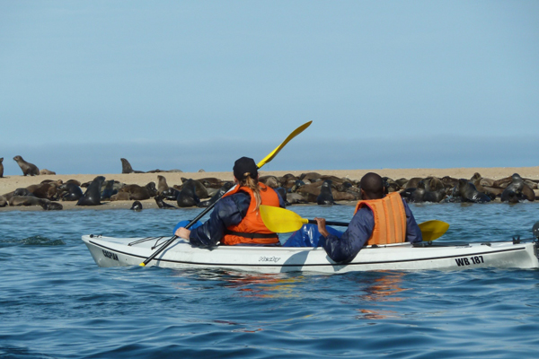 kayaking-sandwich-habour-namibia-day-tours