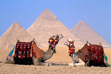 egyptian-museum-tour